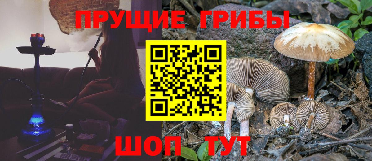 A PVP Унеча