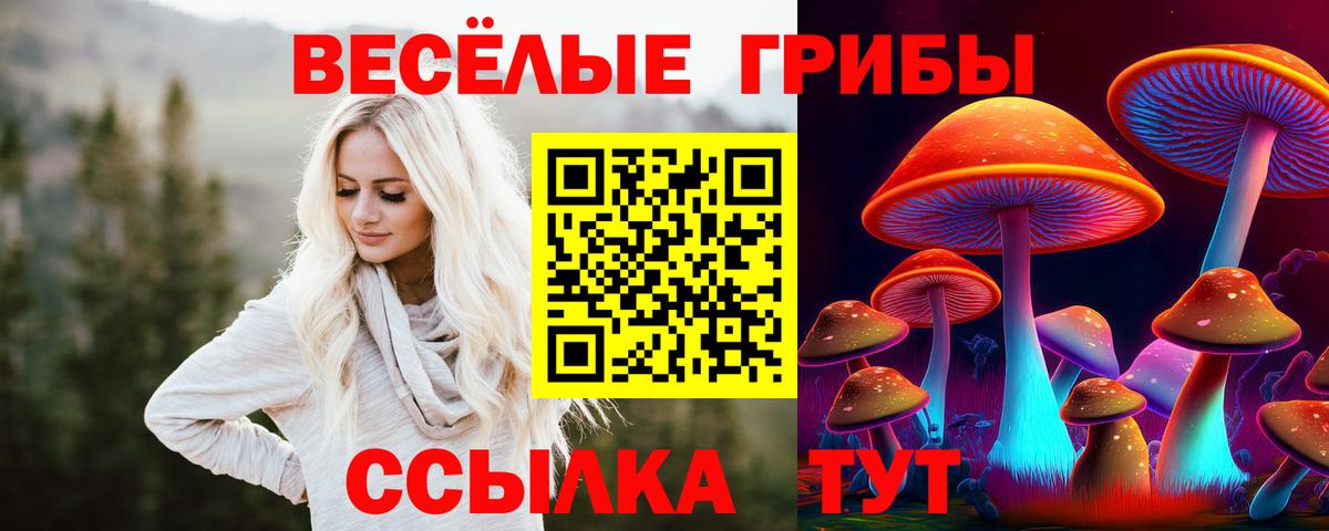 Унеча  Псилоцибиновые грибы мицелий  Вход с VPN 